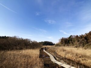 自然を楽しめる守谷市のおすすめ散策スポット